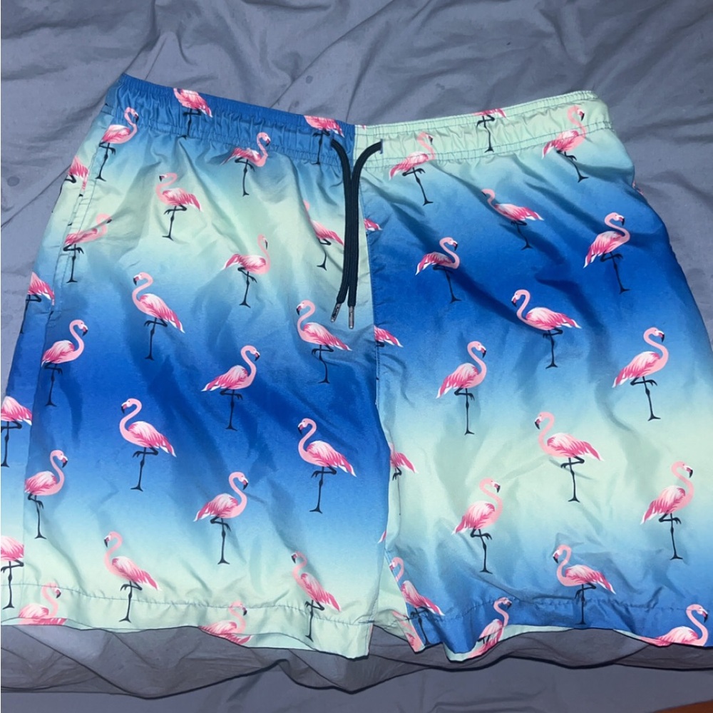 Flamingo Print Athletic Shorts